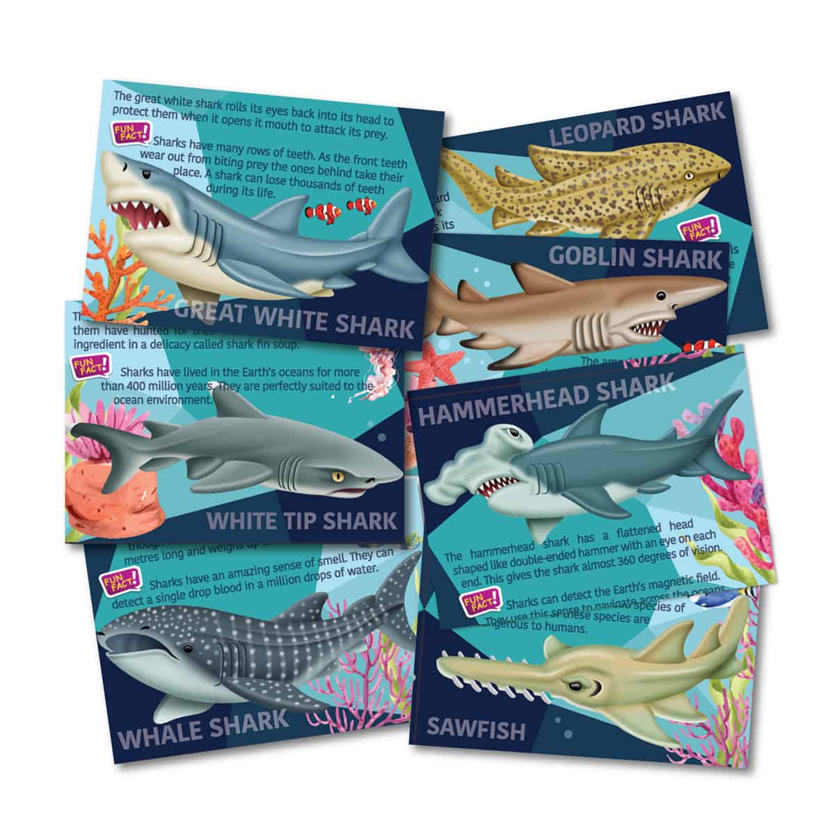 יצירה בגבס – כרישים