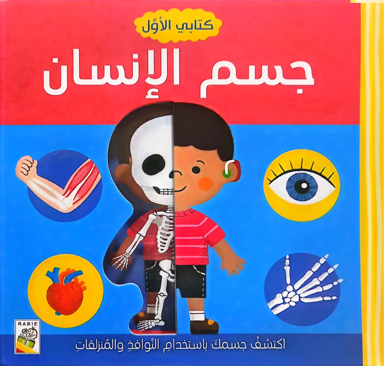 جسم الإنسان - كتابي الأول