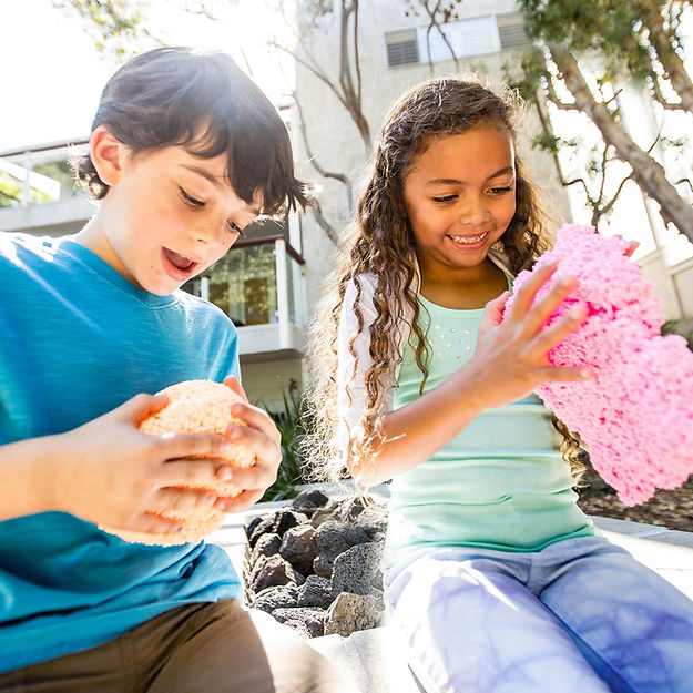 מארז פלייפואם 8 קלאסי