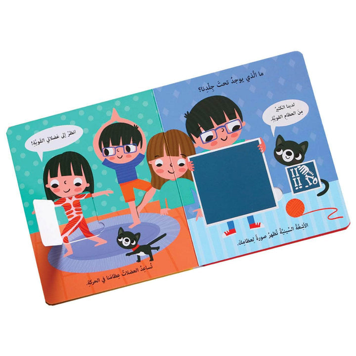 افتح النوافذ واكتشف جسم الإنسان