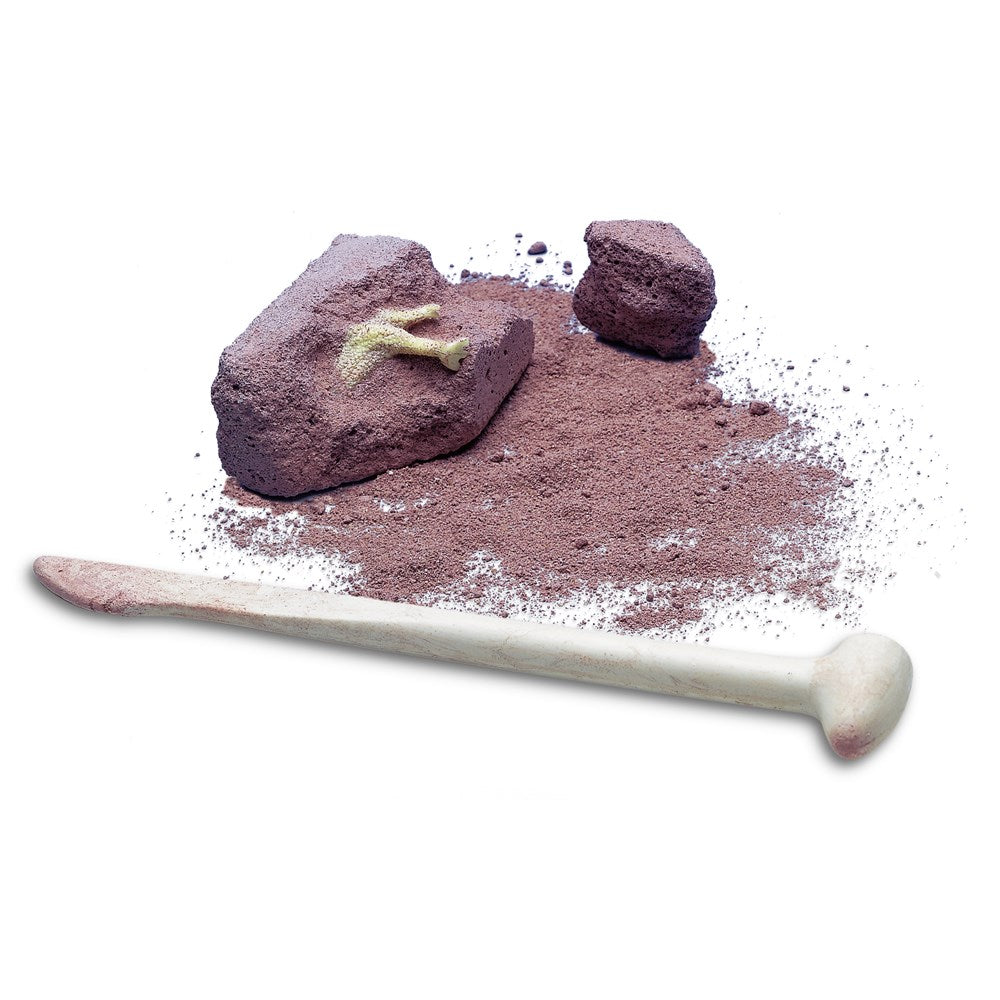 ביצת ארכיאולוג דינוזאור זוהר