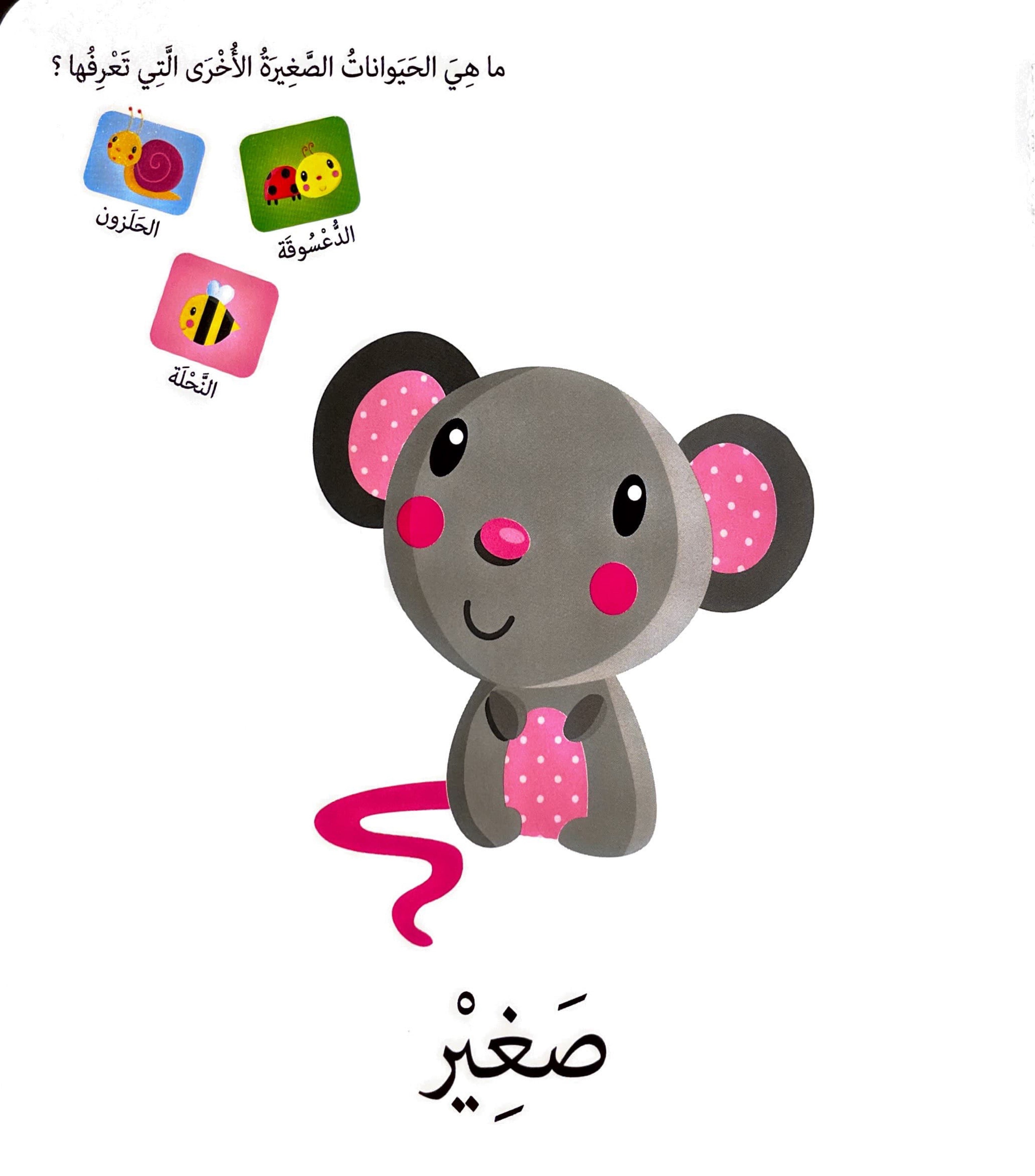 كلمات وصور – الأضداد