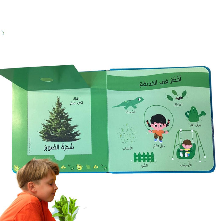 تلمس وشم وتعرف - الروائح اليومية