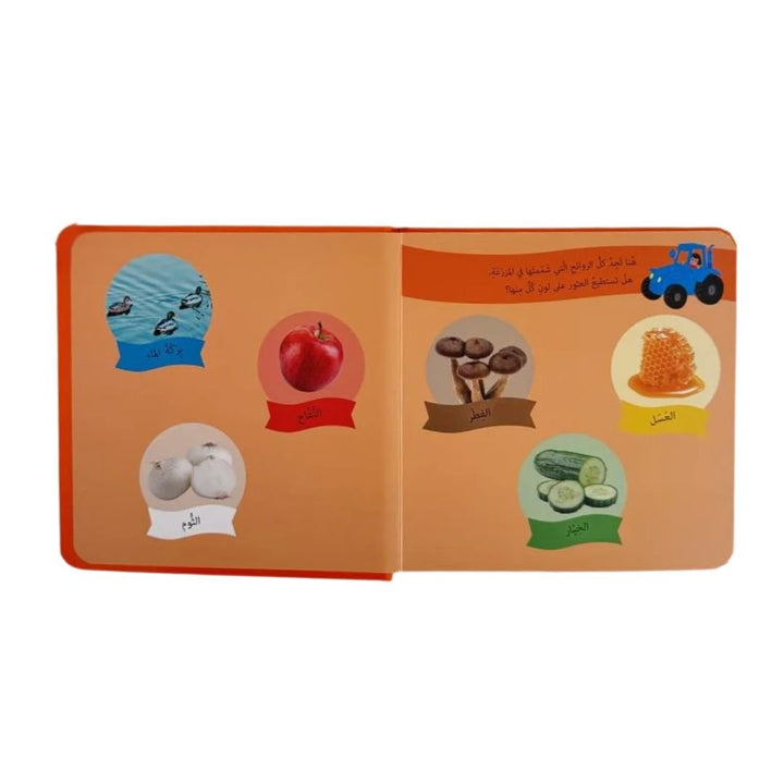 تلمس وشم وتعرف – في المزرعة