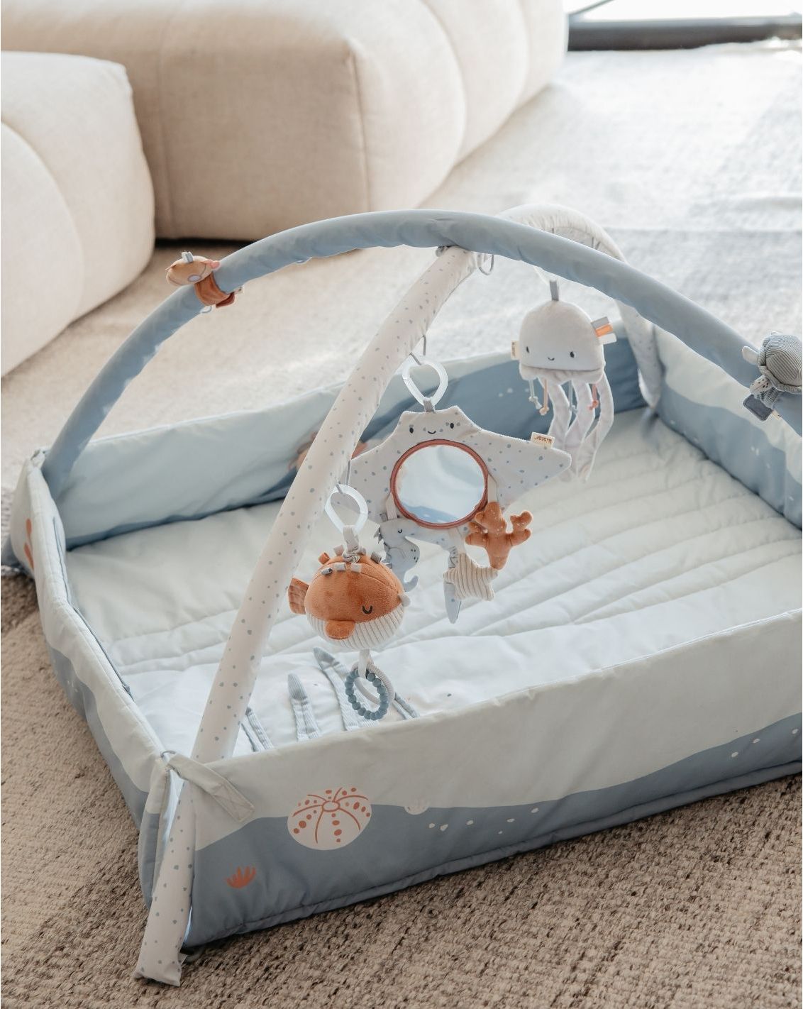 אוניברסיטה לתינוק - כחול