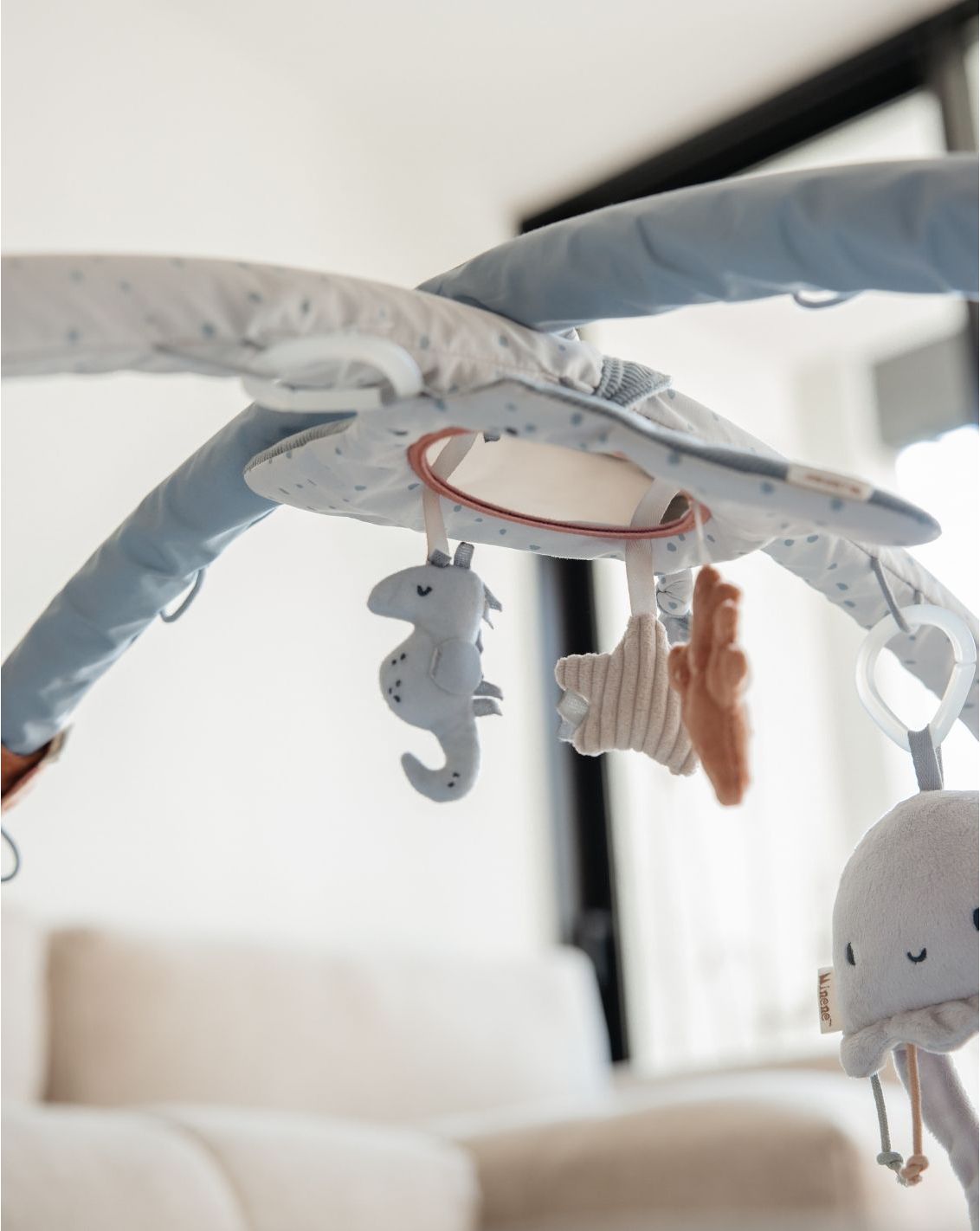 אוניברסיטה לתינוק - כחול