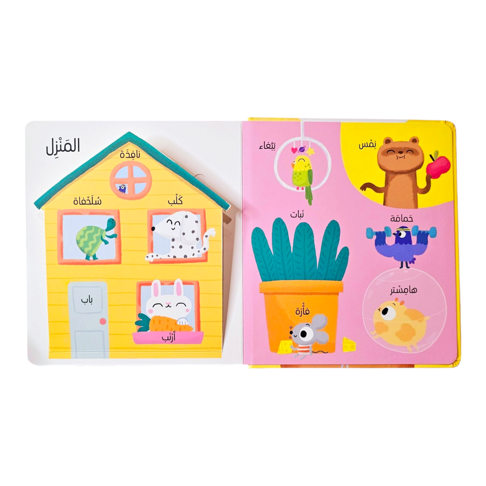 أول 100 كلمة - الحيوانات