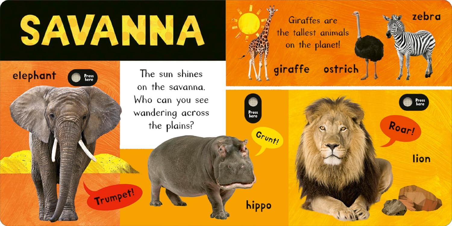 ספר צלילים ראשון לילדים עולם החיות