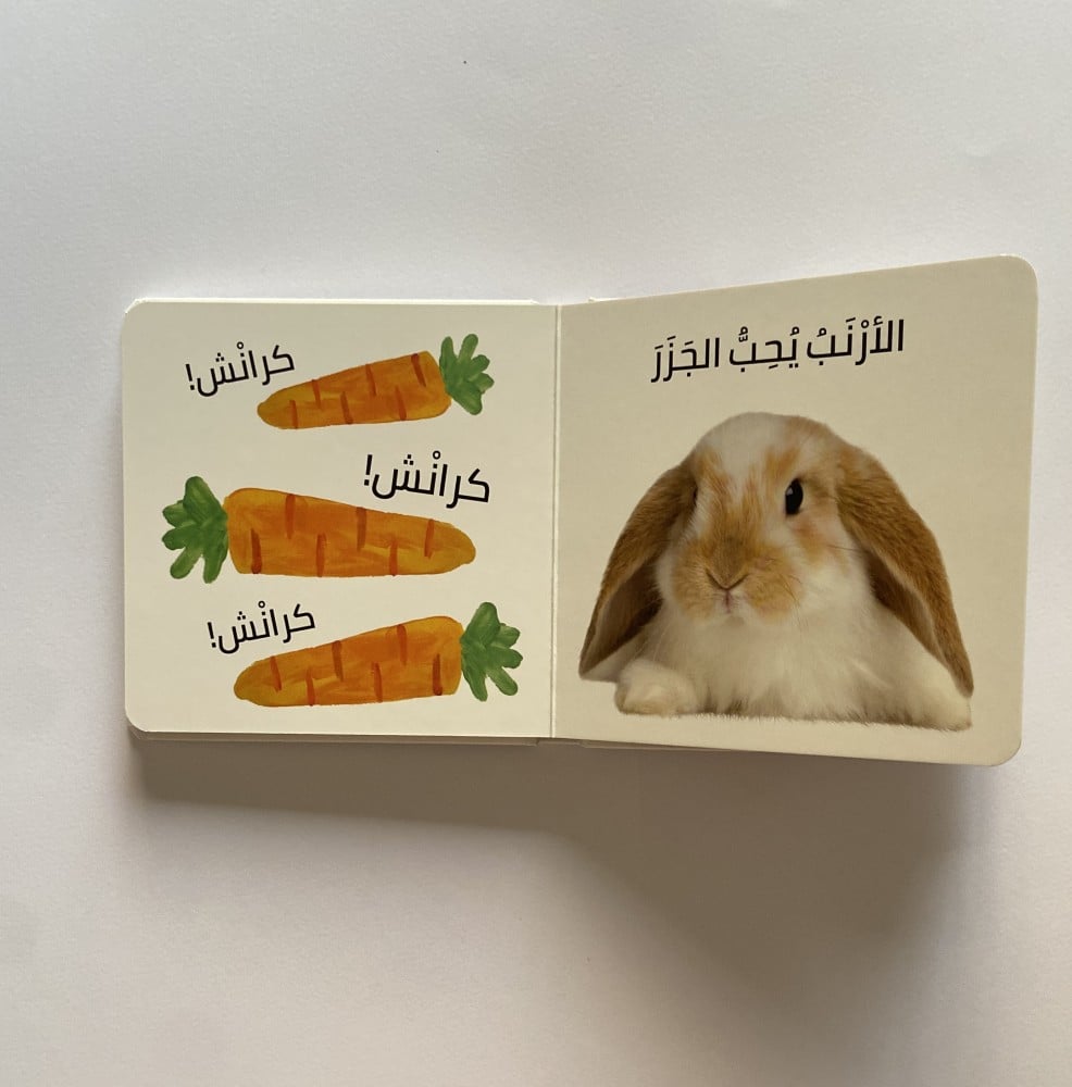 الرؤية  اللمس  الإحساس - الحيوانات